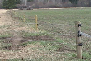 electric fence1